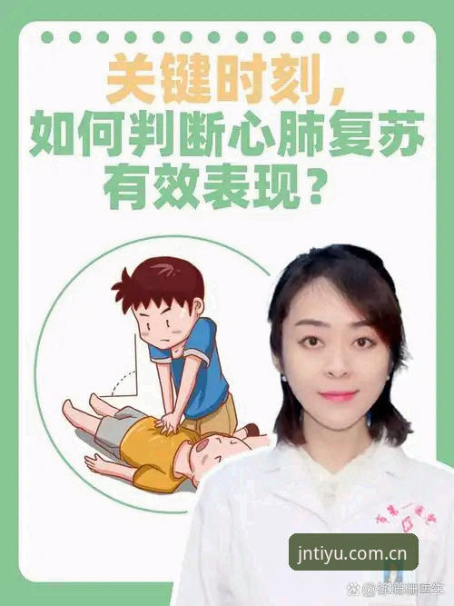辽宁铁人换血实用指南——揭秘间歇期阵容调整的3个关键判断